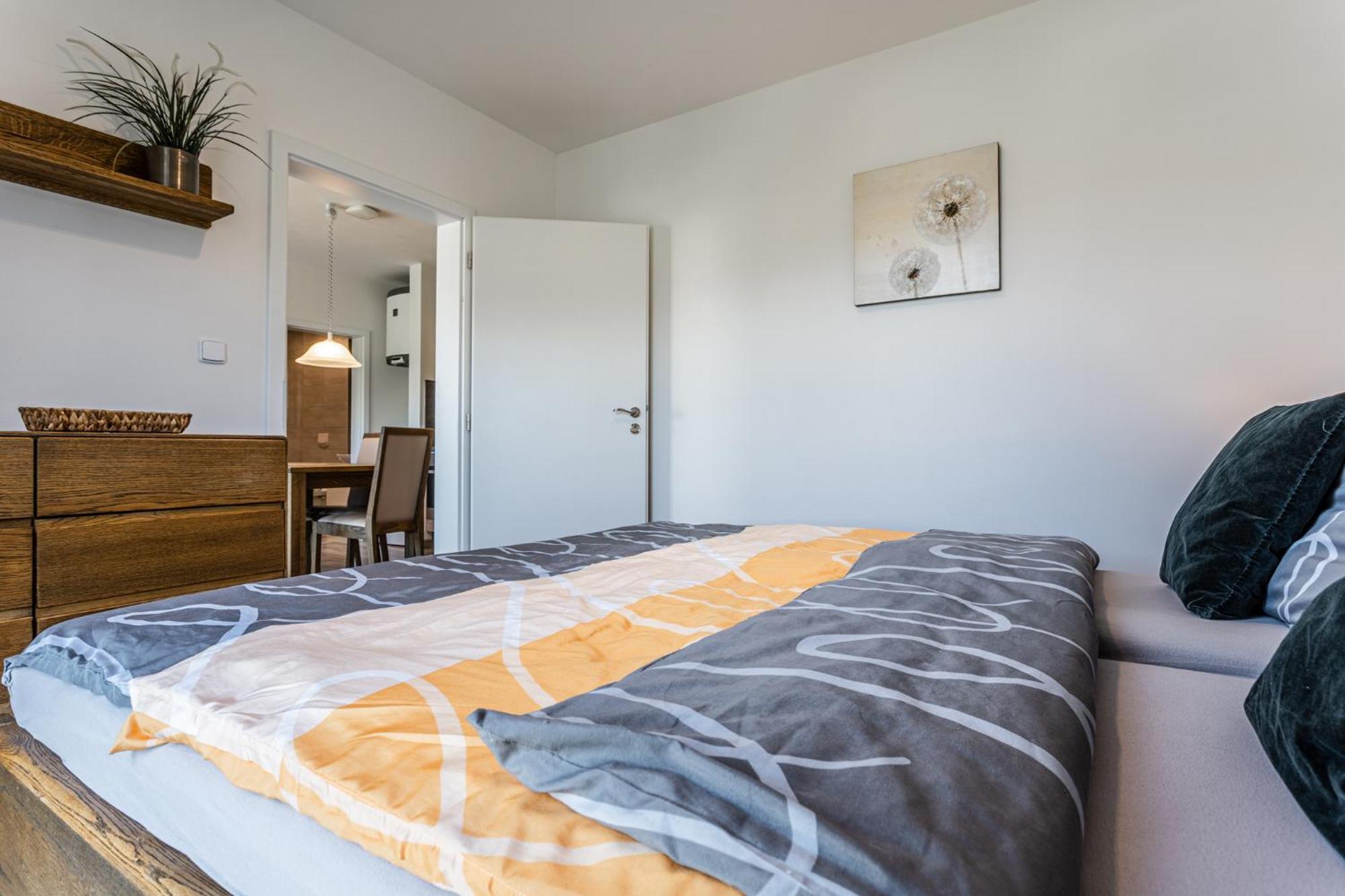 Family Apartments Klinovec Loučná pod Klínovcem 객실 사진